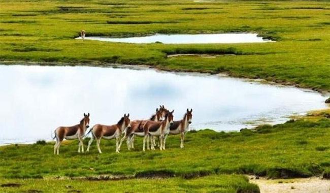 ��������������������У��W(xu��)�����M(j��n)����Դ���(d��ng)��ʽ����(d��ng)